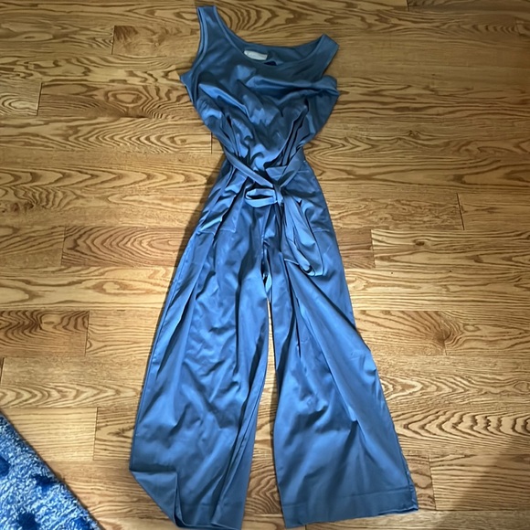 Everlane Pants & Jumpsuits Everlane Dusty Blue Jumpsuit In Medium